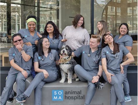 soma pet hospital|SoMa Animal Hospital .